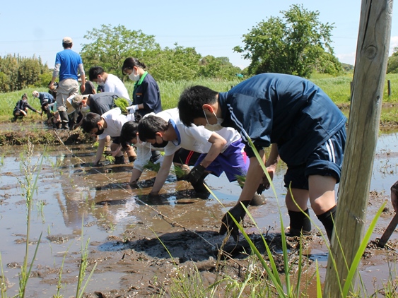 【ボランティア部】都川ふるさとの原風景再生ボランティアに参加しました
